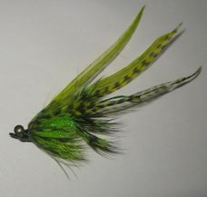 ���� �������� Barred grizzly chartreuse